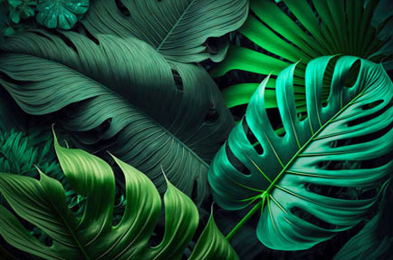 Tropical Palm - Fragrance