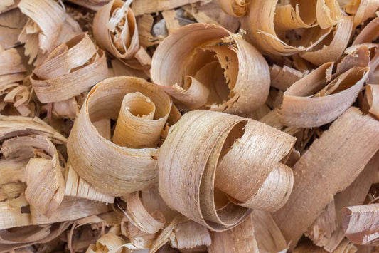 Himalayan Cedarwood - Fragrance