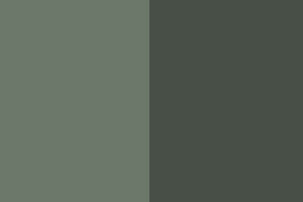 Liquid Dye - Olive
