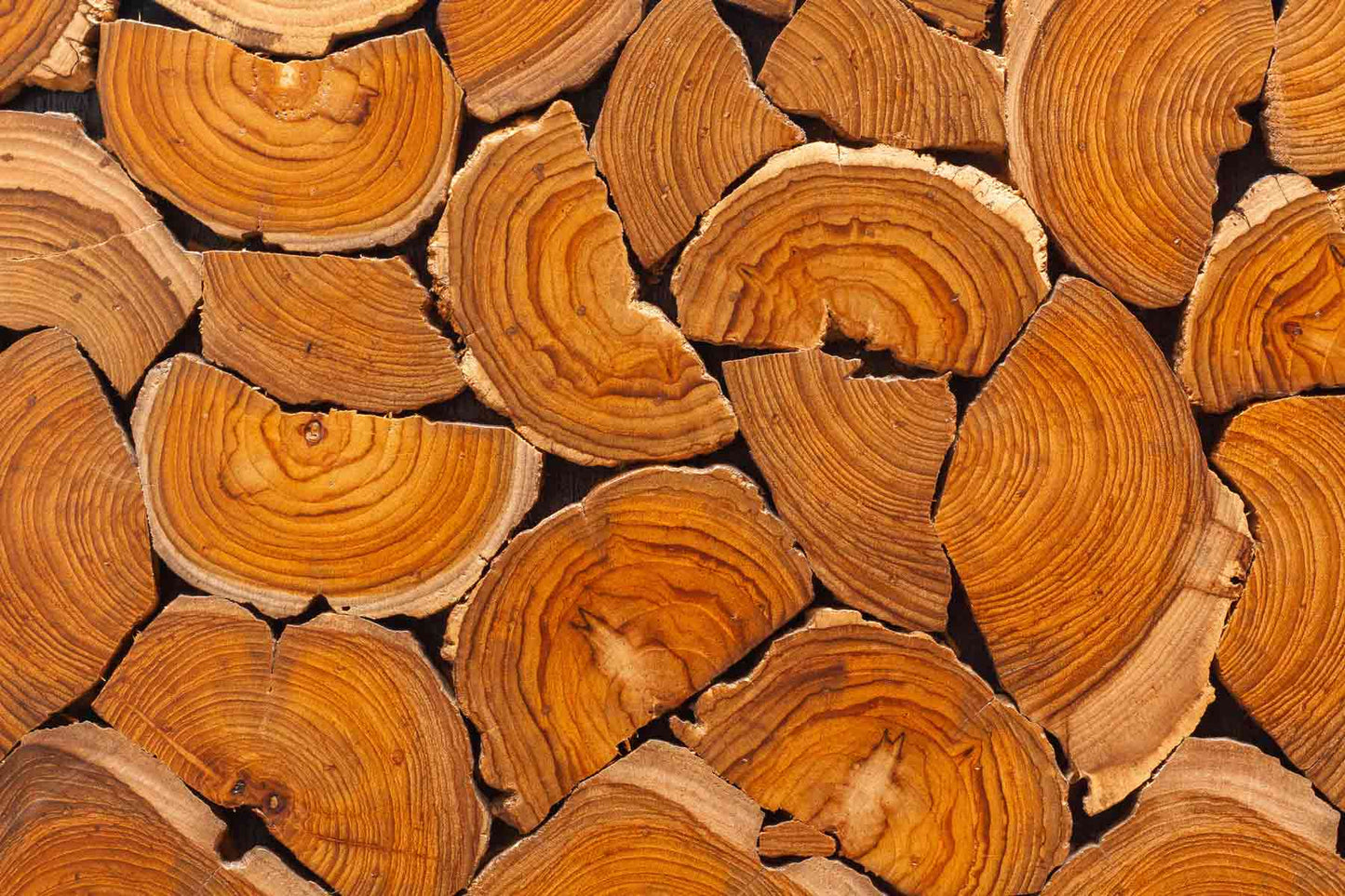Burmese Teakwood - Fragrance